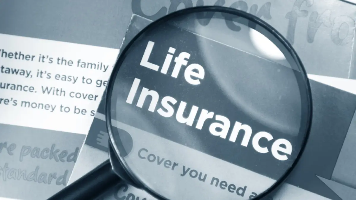 Compare Club set for period of massive growth in life insurance